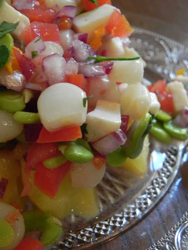 Solterito Arequipeño Monitouille